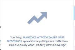 1_wypozyczalnia_nart_jakuszyce_statystyki