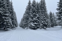 IMG_3105