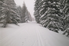 gorny_dukt_jakuszyce_wypożyczalnia_biegowek_17_01_2018