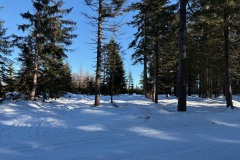 jakuszyce_2026_parking_i_wypozyczalnia_nart_biegowych_2