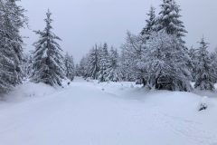 jakuszyce_parking_wypozyczalnia_daga_sezon_2023_1