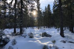 jakuszyce_parking_wypozyczalnia_wypoczynek_swiateczno_noworoczny_3