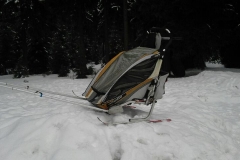 jakuszyce_przyczepka_dla_dzieci_chariot_coguar_gondola