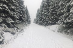 jakuszyce_wypozyczalnia_daga_2