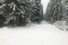 jakuszyce_wypozyczalnia_daga_4